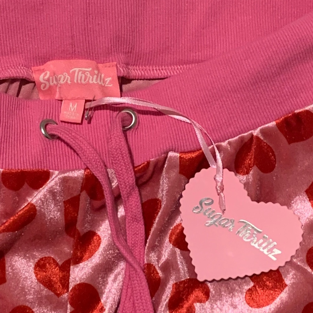 NWT! Loyal Maneater Velour Track Pants